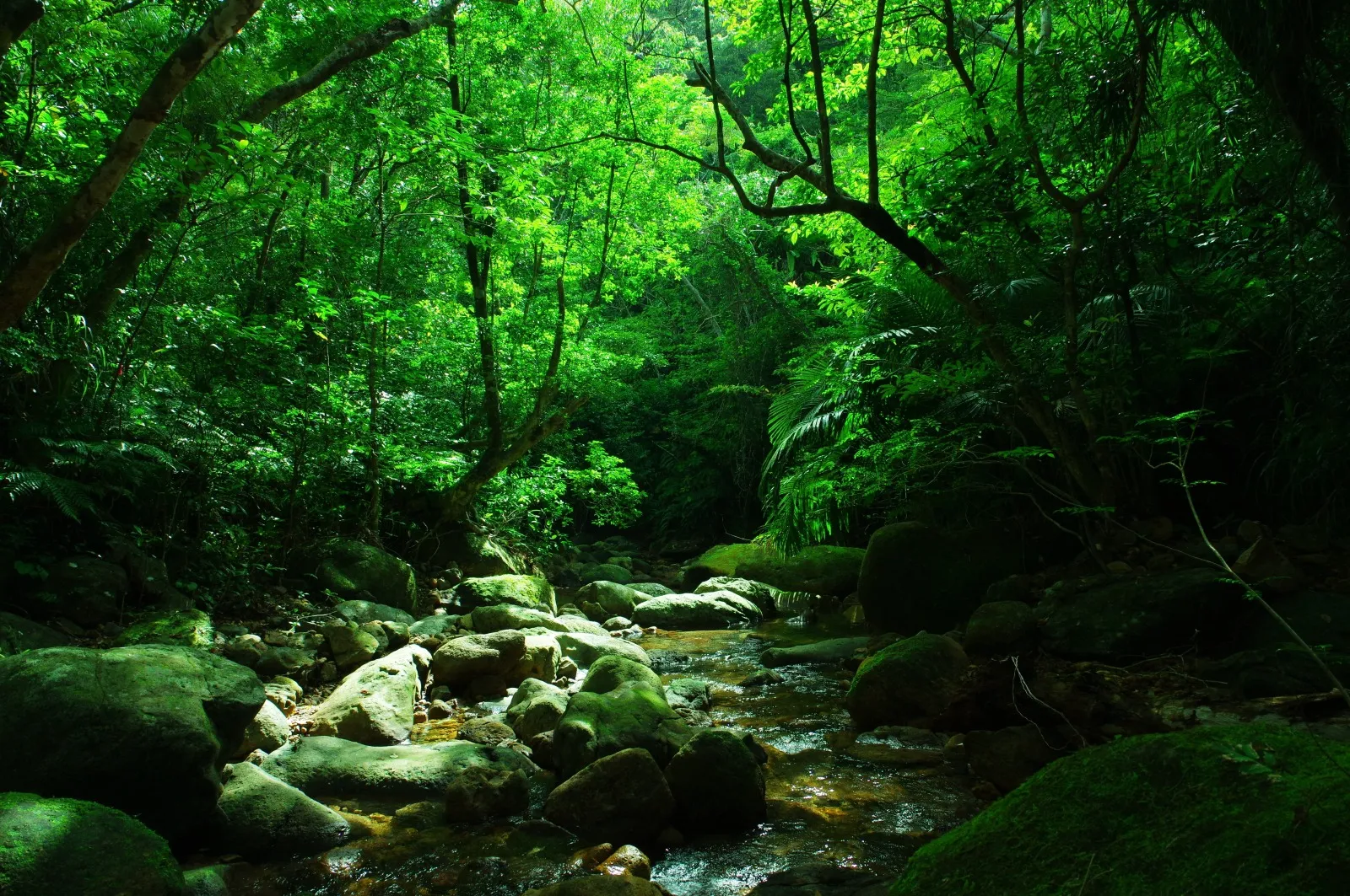 背景画像