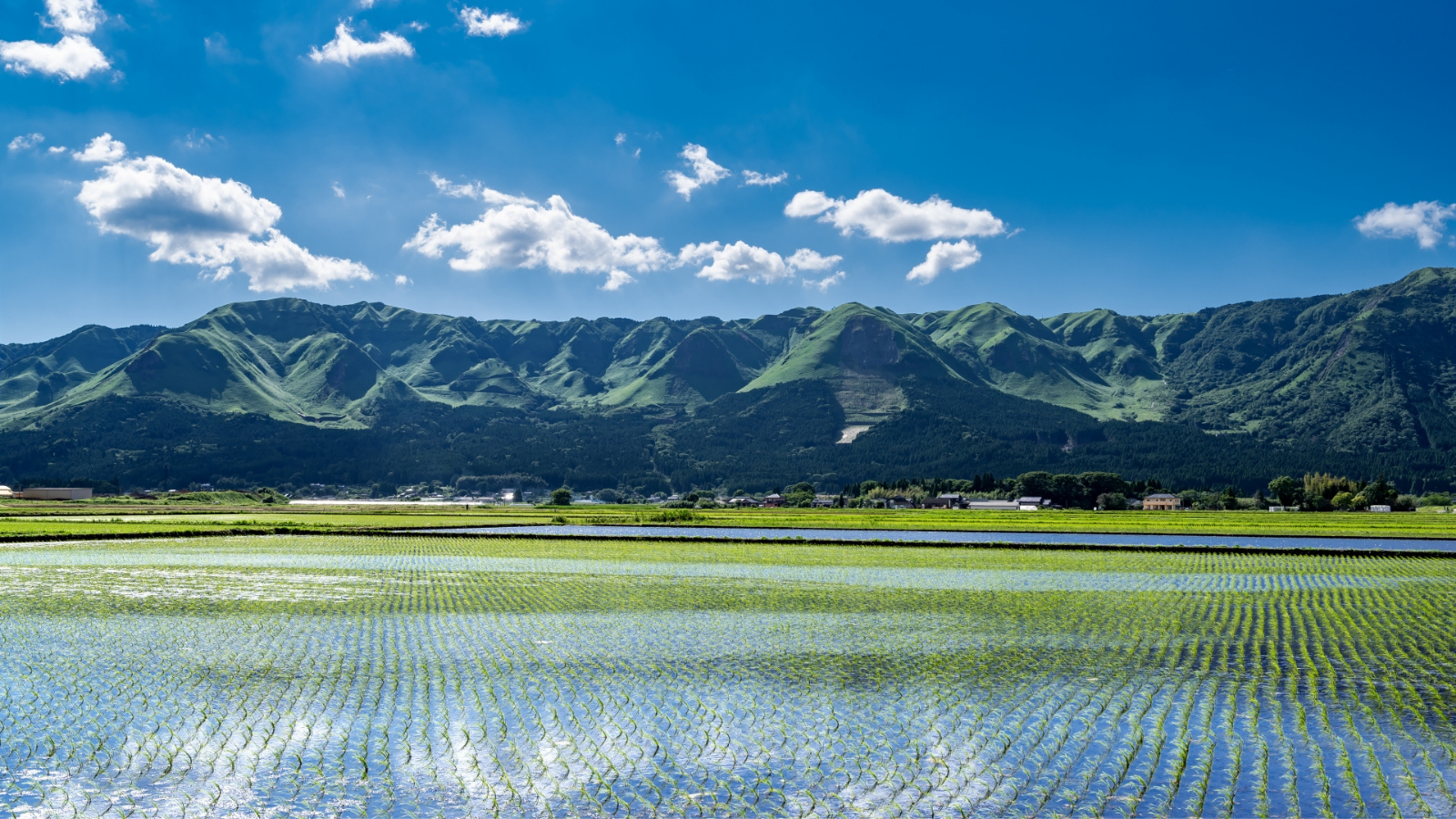 背景画像