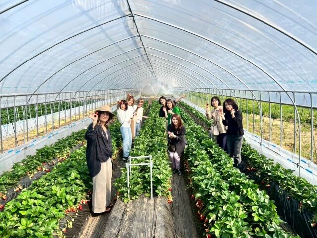 🍓狩りツアー